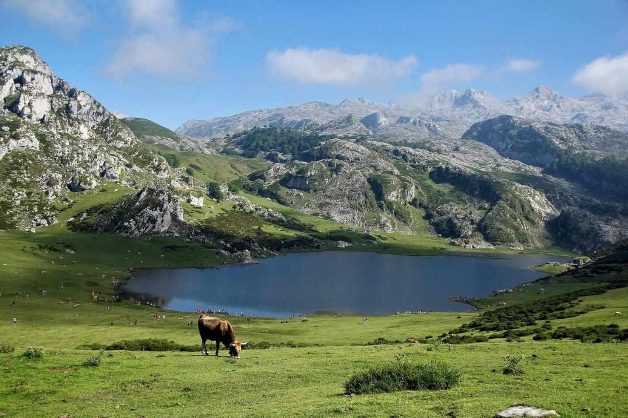 Casa Rural La Carrozal Senda Del Oso Orelleiru Dış mekan fotoğraf