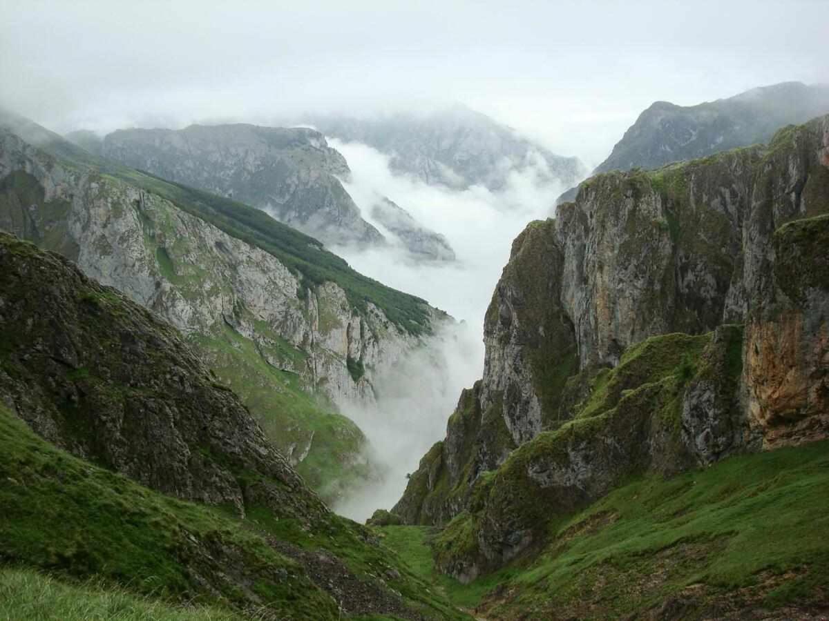 Casa Rural La Carrozal Senda Del Oso Orelleiru Dış mekan fotoğraf