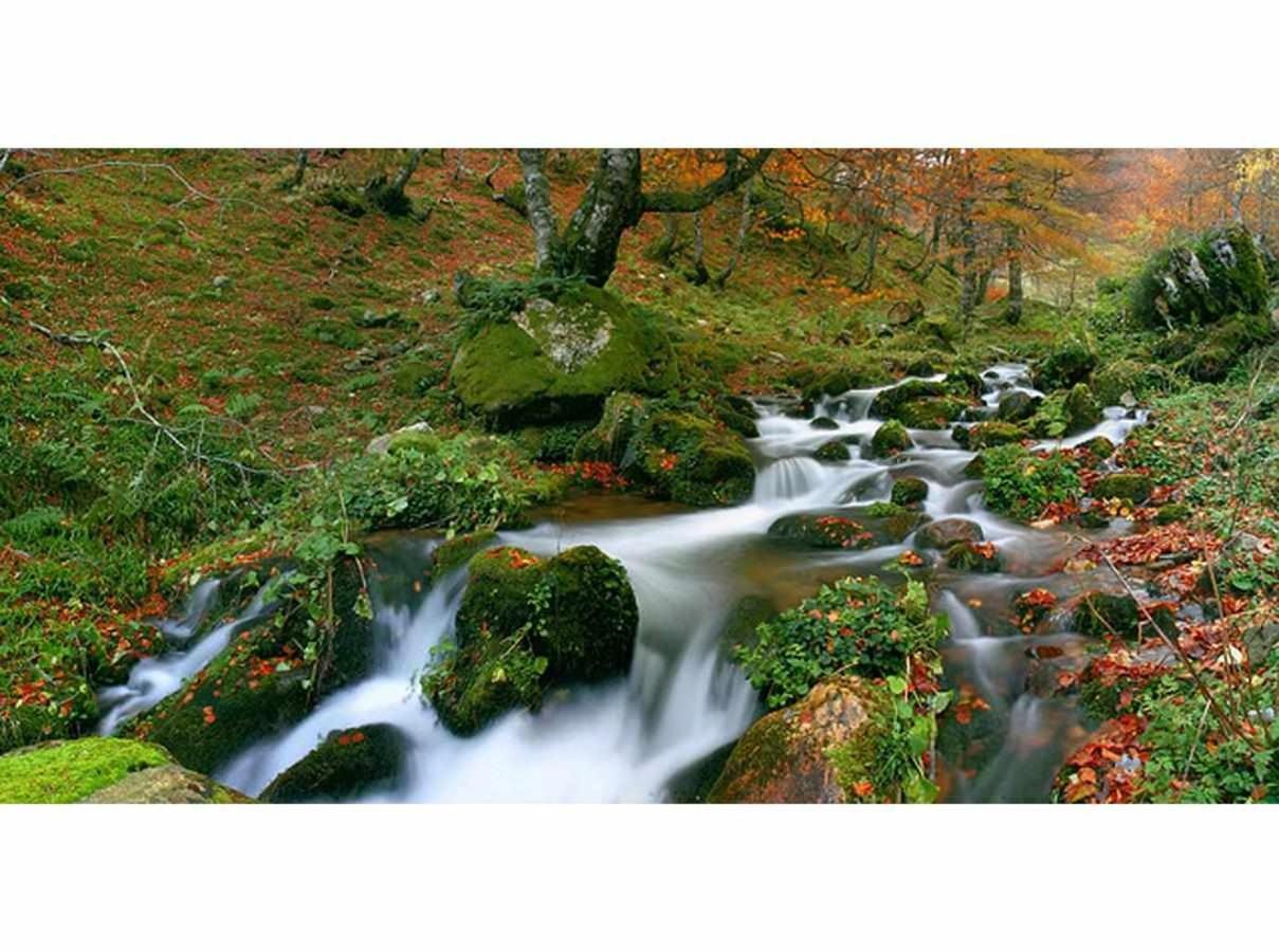 Casa Rural La Carrozal Senda Del Oso Orelleiru Dış mekan fotoğraf