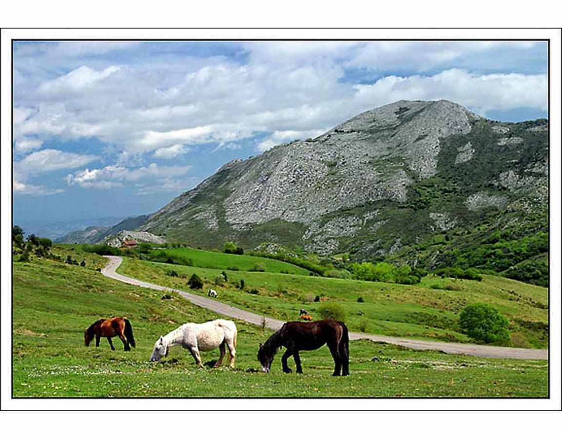Casa Rural La Carrozal Senda Del Oso Orelleiru Dış mekan fotoğraf