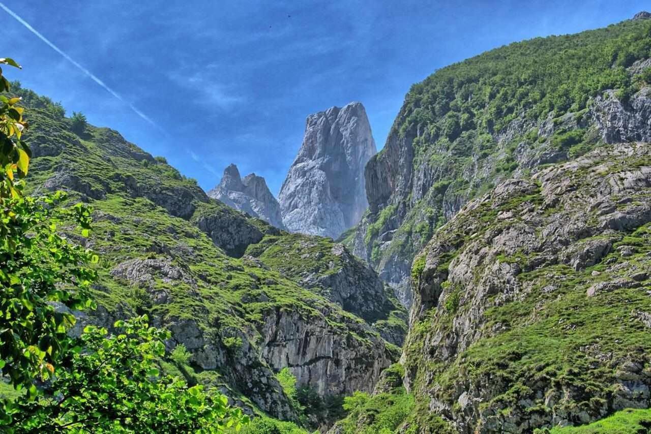 Casa Rural La Carrozal Senda Del Oso Orelleiru Dış mekan fotoğraf